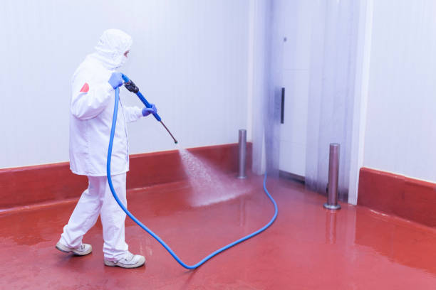 Best Driveway Pressure Washing  in Sans Souci, SC